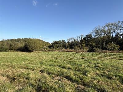 The Land